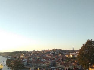 thumbnail_IMG_20221005_184320.jpg
